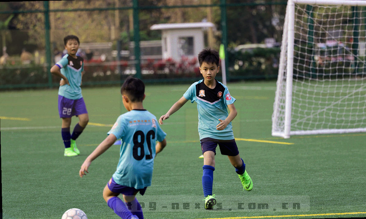 并排对照图：左侧五段折线表示旧版结构，右侧三段折线表示新版结构，右侧线条明显更直